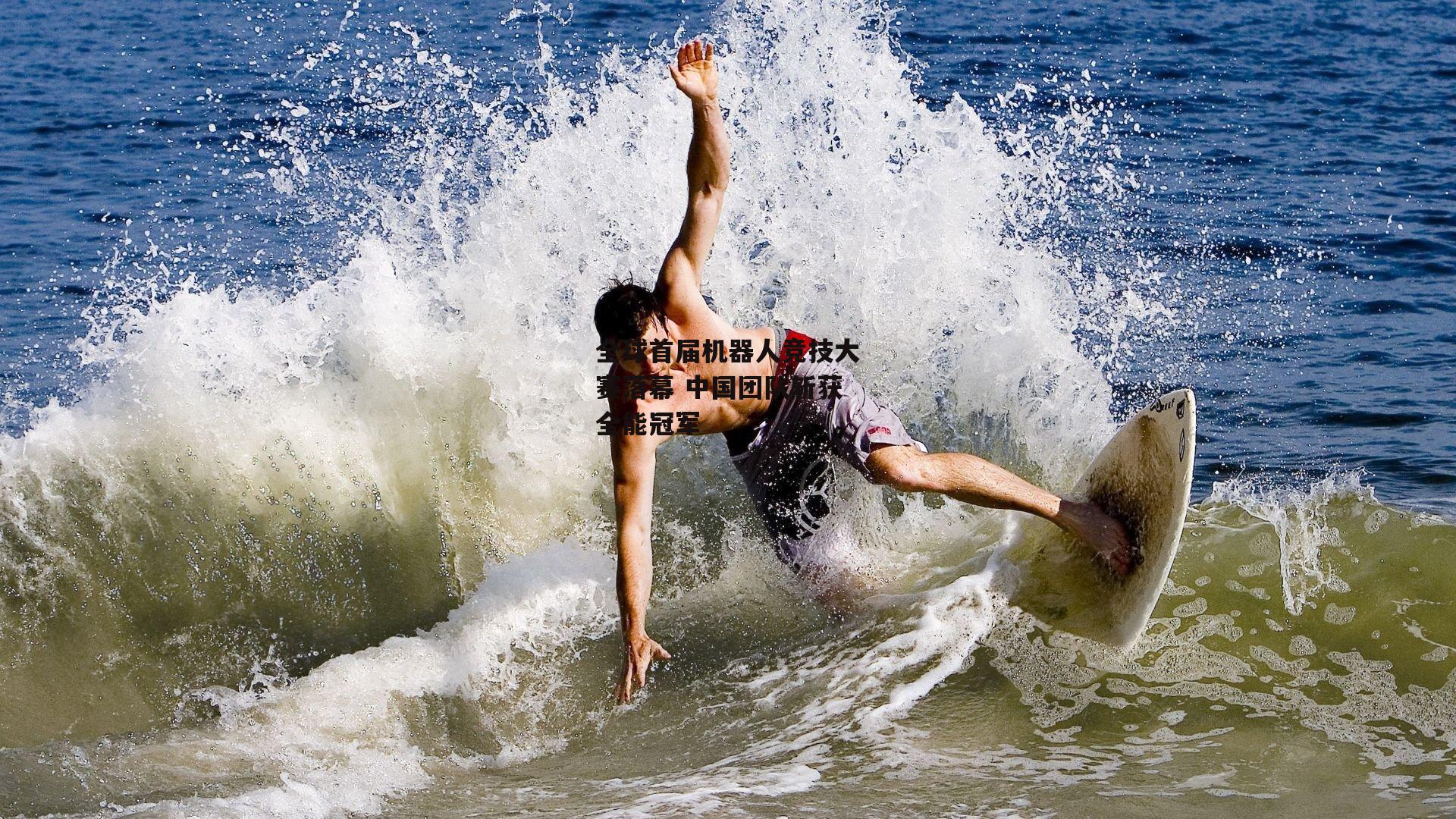 全球首届机器人竞技大赛落幕 中国团队斩获全能冠军:非凡体育官方网站